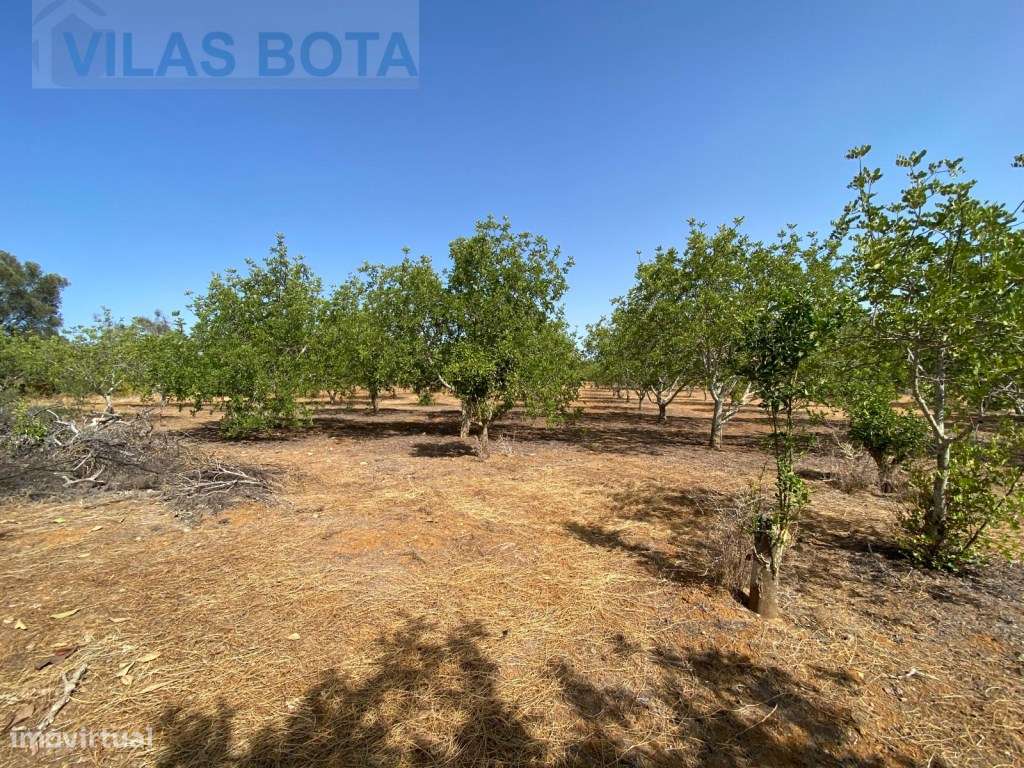 2 Terrenos Para Venda em Estoi - Grande imagem: 2/3