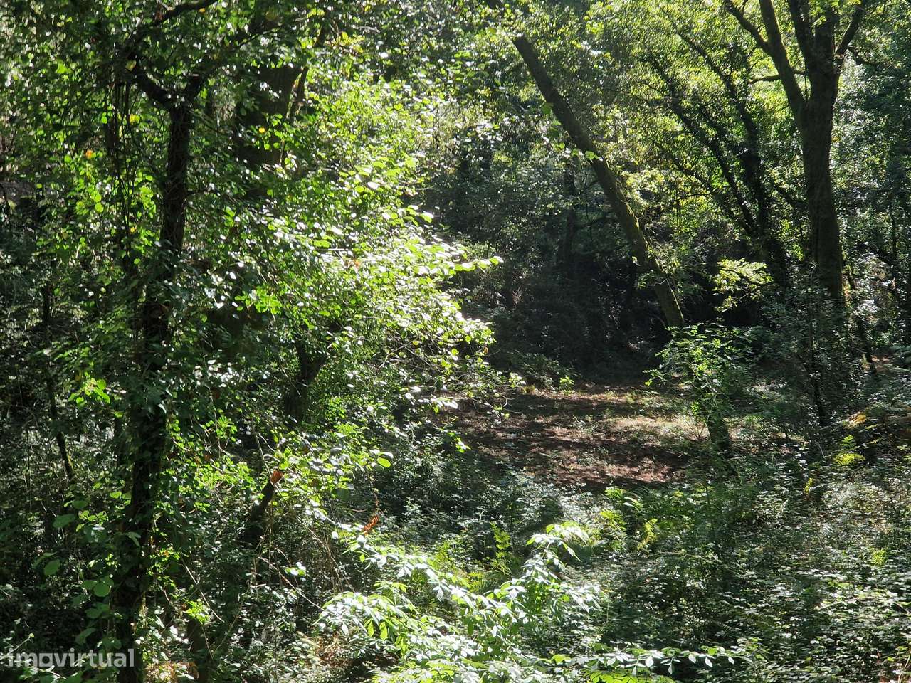 Terreno  Venda em Mosteiro,Vieira do Minho - Grande imagem: 5/21