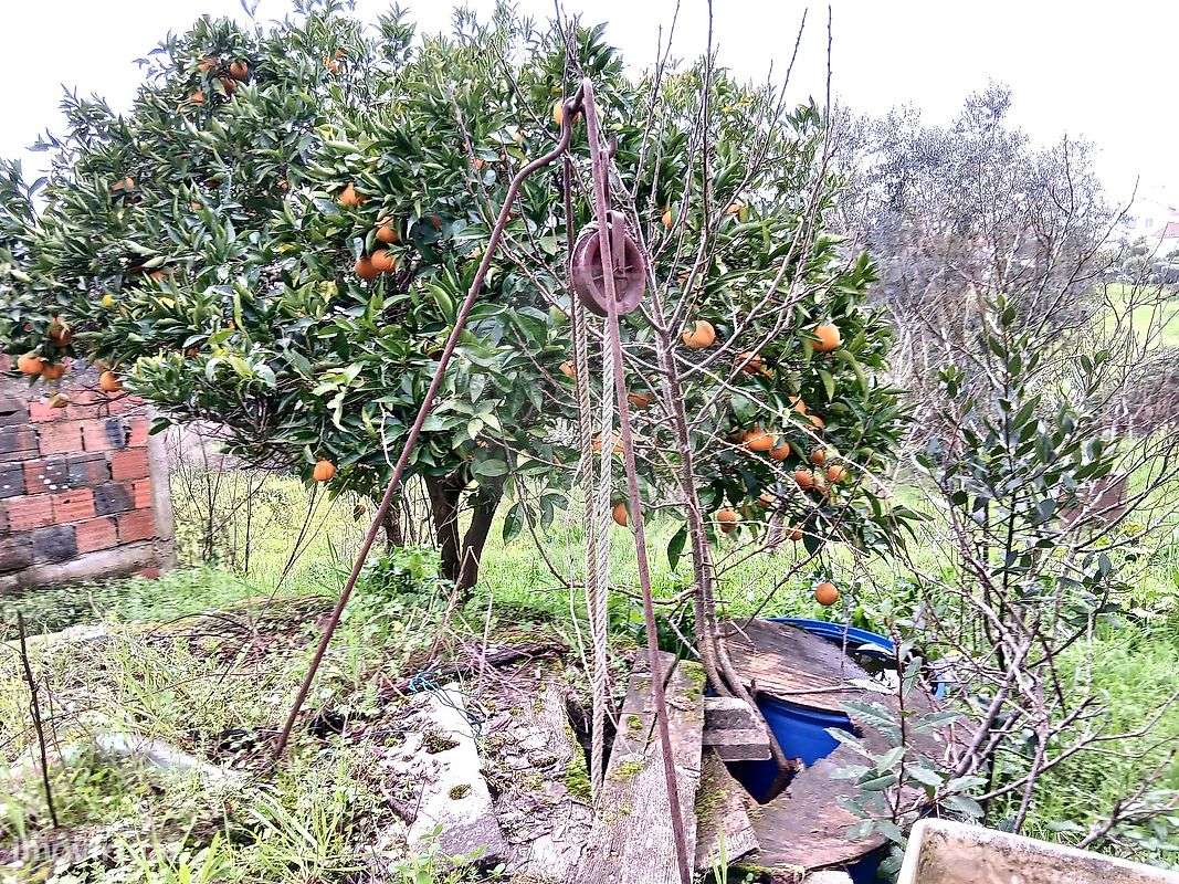 Moradia T2 para venda - Grande imagem: 4/22