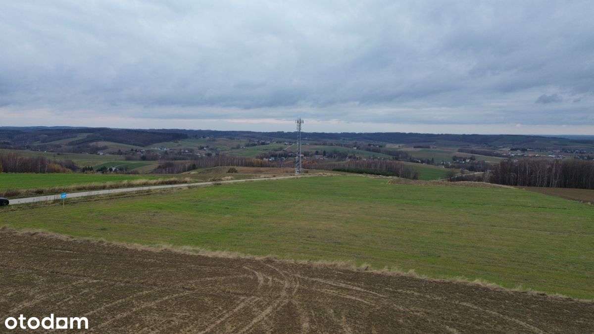 10 ar z WZ Wiśniowa - działka widokowa - Pełny obrazek: 4/5