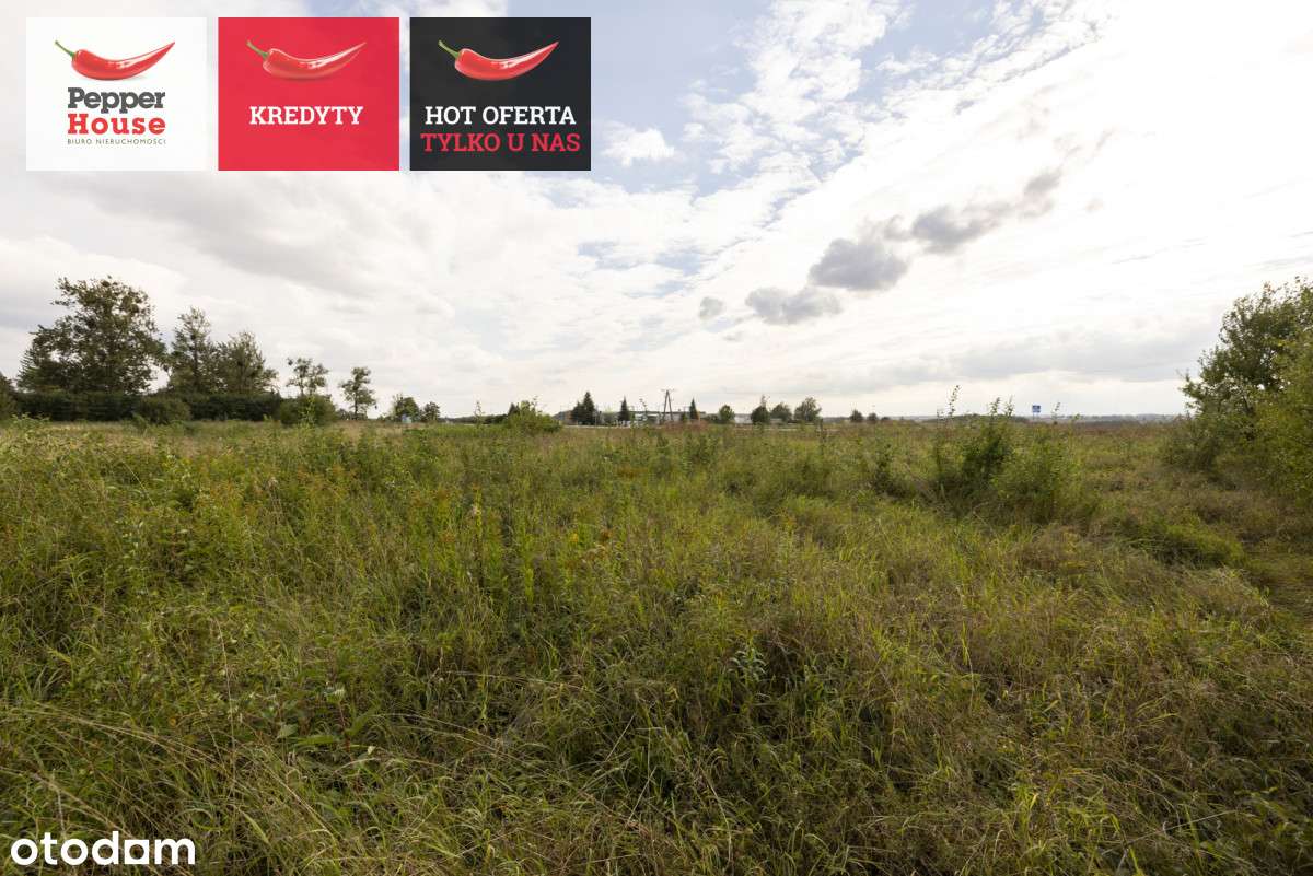 Piękna działka inwestycyjna- Gniew! - Pełny obrazek: 5/18