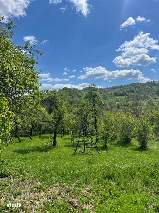 Teren 1200 mp + Casa - Comuna Arefu - Imagine principală: 4/5