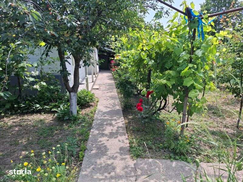 Vand proprietate in comuna Nanesti, Vrancea - Imagine principală: 4/8