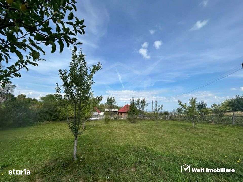 NOU. Se vinde teren pentru casa/cabana intr-o zona cu aer curat. - Imagine principală: 5/6