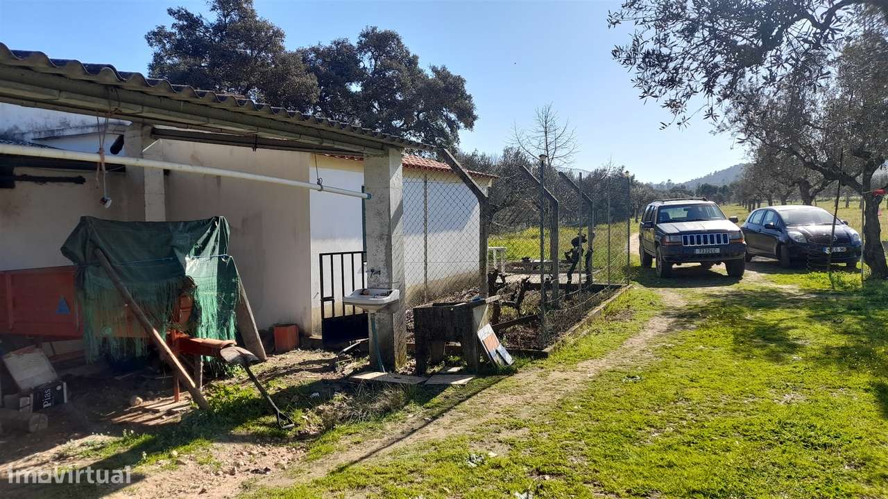 Quinta T0 Venda em Vila Velha de Ródão,Vila Velha de Rodão-12