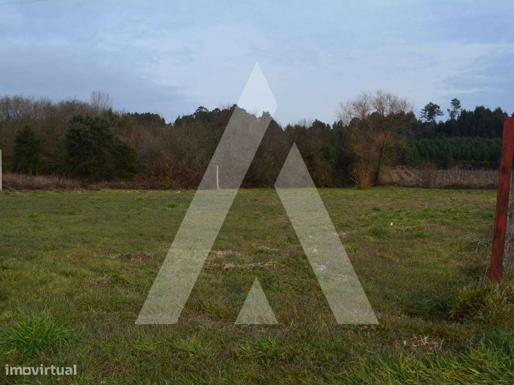 Terreno Rústico em Anadia - Grande imagem: 4/14