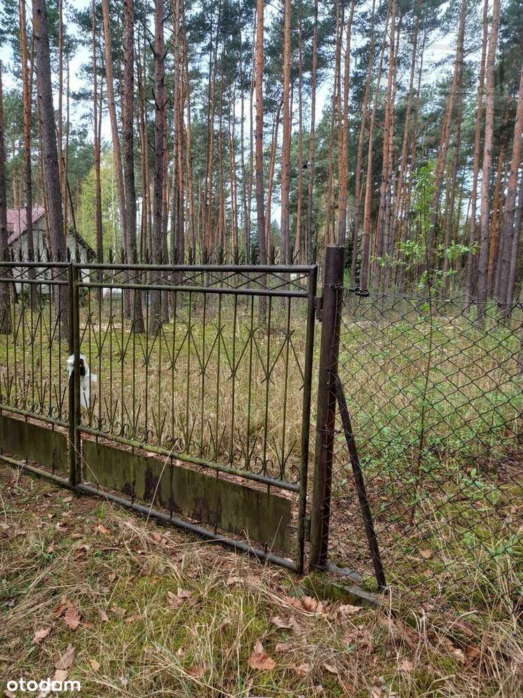 Klimatyczna działka 1500m2 Siestrzeń - Pełny obrazek: 5/5