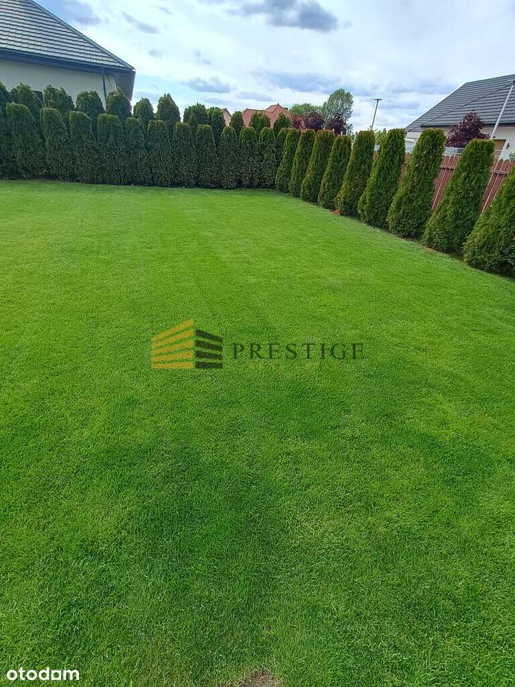 Sprzedam dom z ogrodem - przy Puszczy Słupeckiej-11