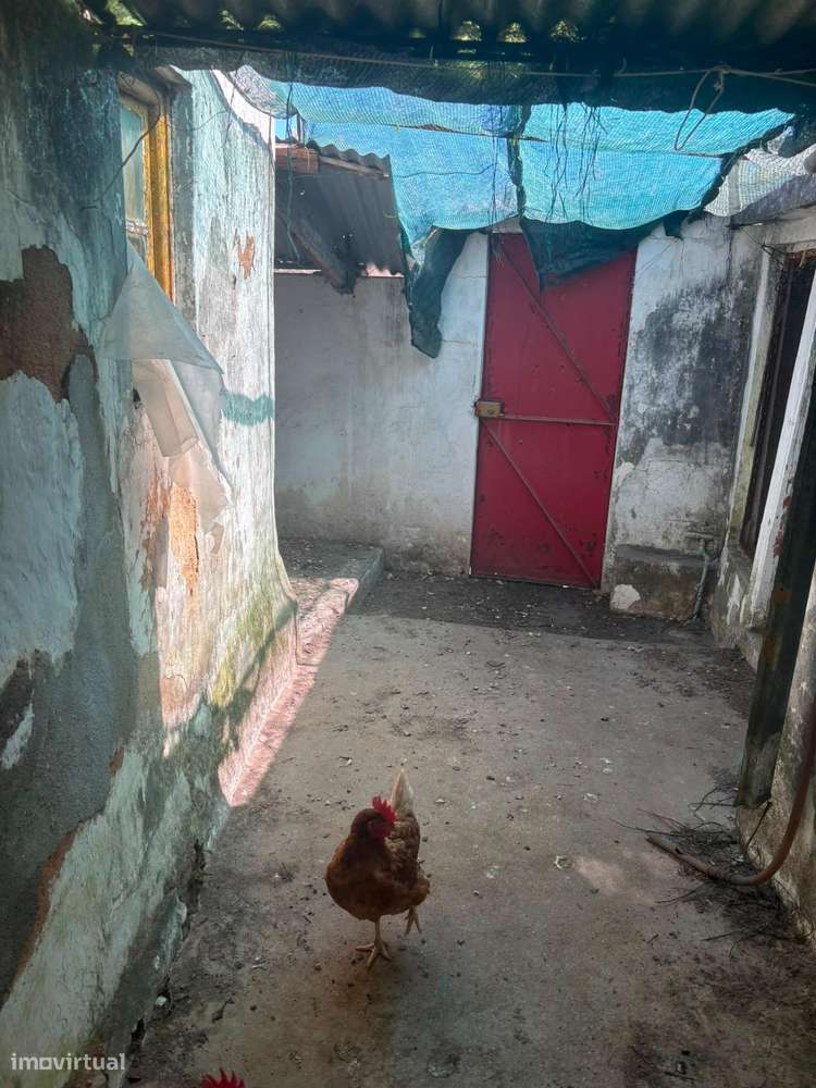 Moradia térrea para reconstrução com logradouro em Moita do Norte-6
