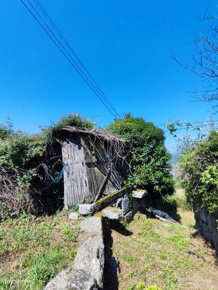 Quintinha no Douro Sul (Ferrós de Resende) - Grande imagem: 5/12