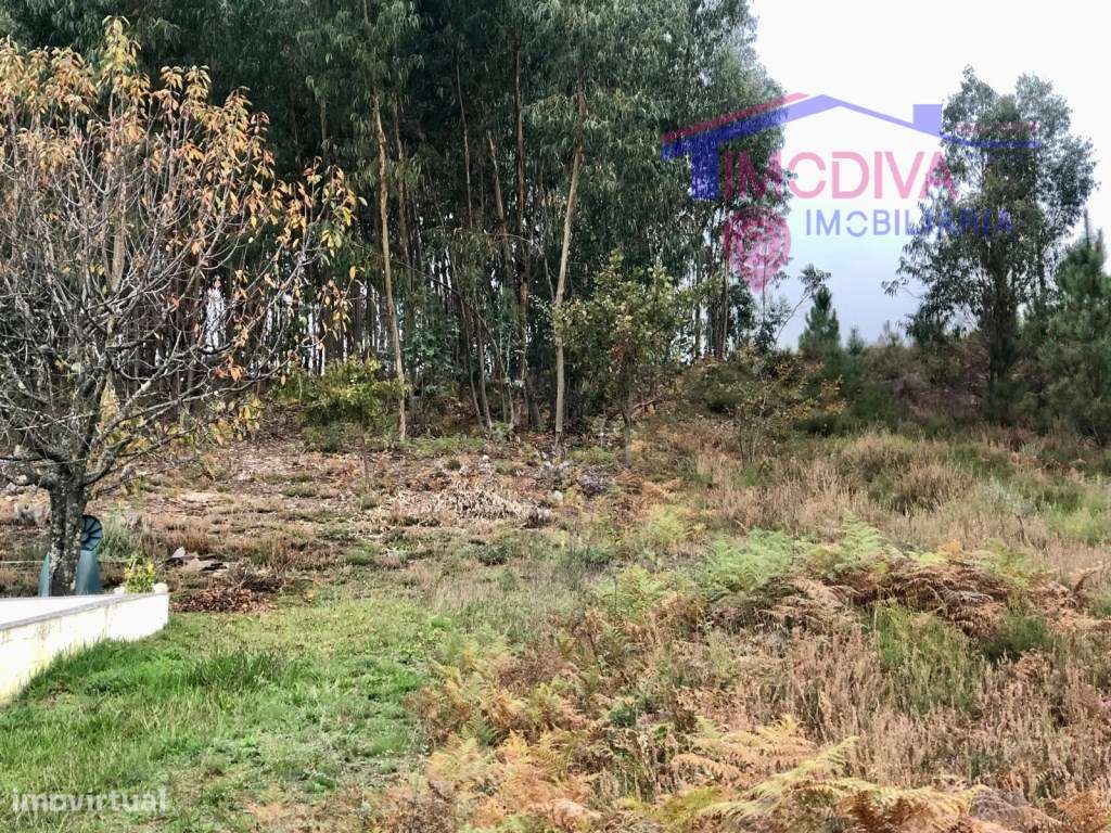 Terreno rústico com viabilidade de construção em Castanheira de Pera - Grande imagem: 4/10