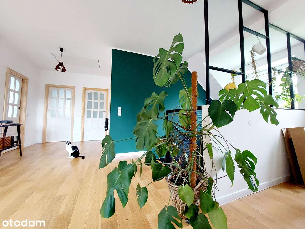 Dom jednorodzinny pod lasem-14