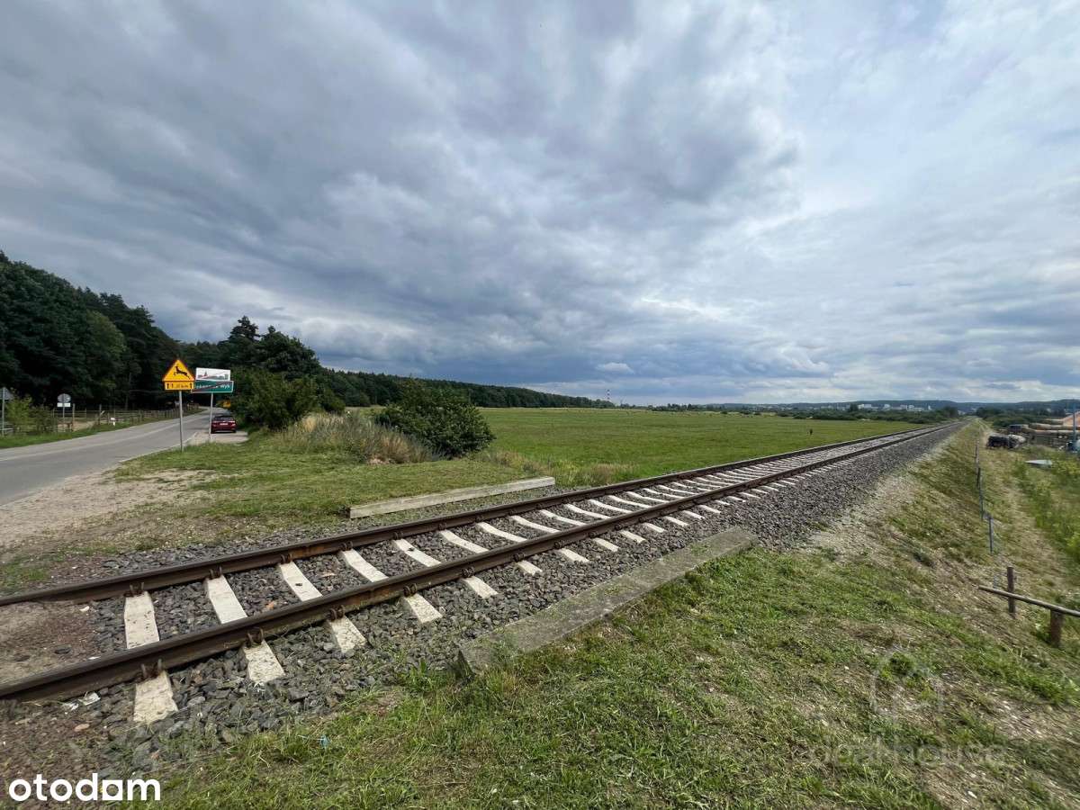 Grunt przemysłowy w strefie portu Gdynia 5ha-1