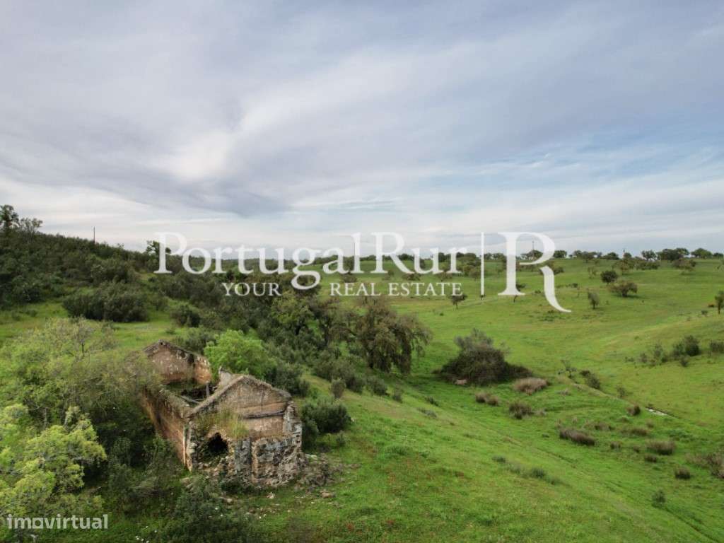 Monte das Colinas - 13.5 Hectares - São Bartolomeu da Serra - Grande imagem: 5/36