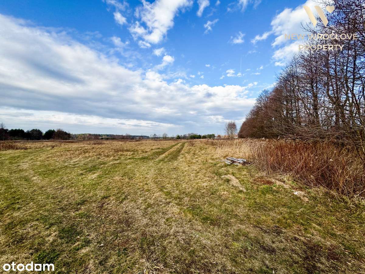 Duża działka rolna, przy drodze, negocjacje!!! - Pełny obrazek: 4/10