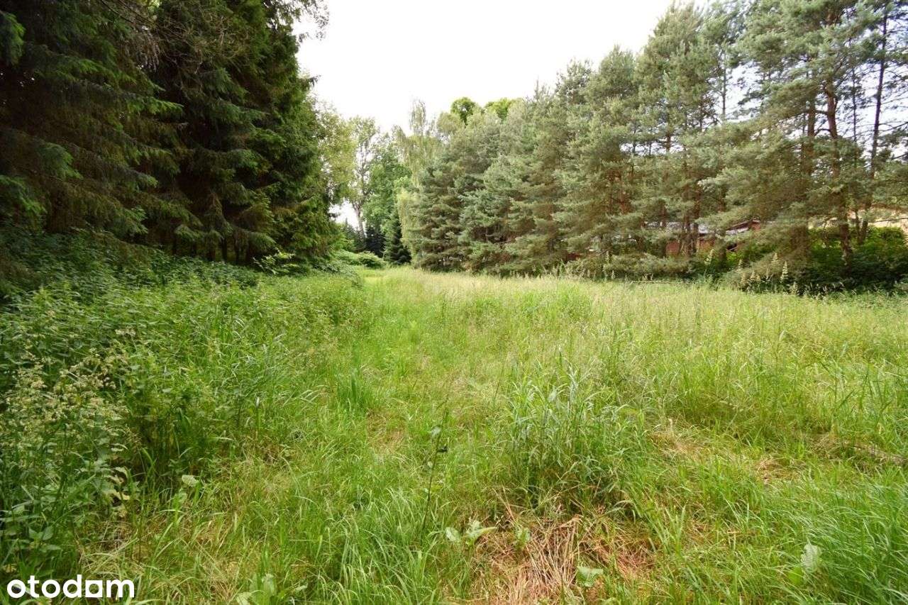 Budynek Rekreacyjny 80m2, Drogomyśl,Działka 4435m2-10