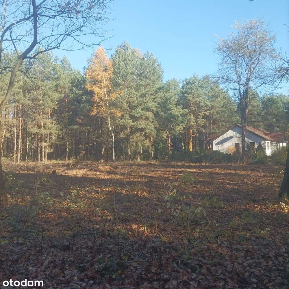 Budowlana / Otoczenie Las - Pełny obrazek: 1/8