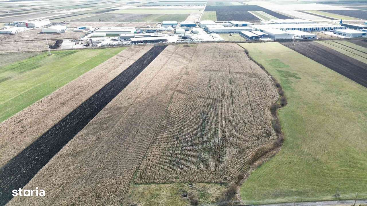 Teren 5 hectare de vanzare prejmer Brasov-5