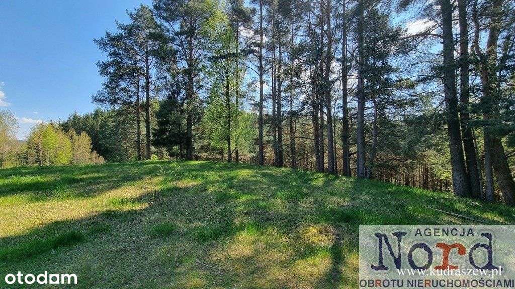 Działka Nad Jeziorem Suwalszczyzna-12