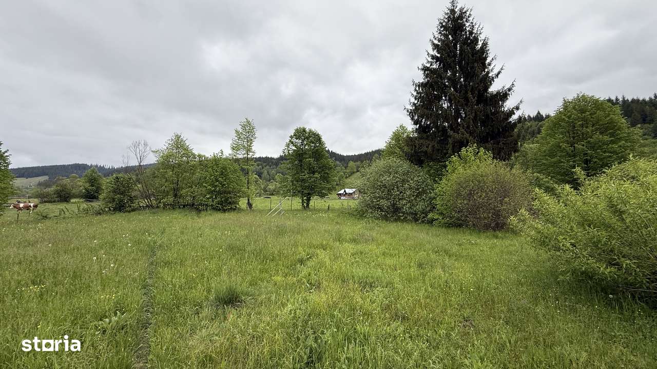 Teren intravilan/extravilan cu deschidere la drum județean - Imagine principală: 5/9