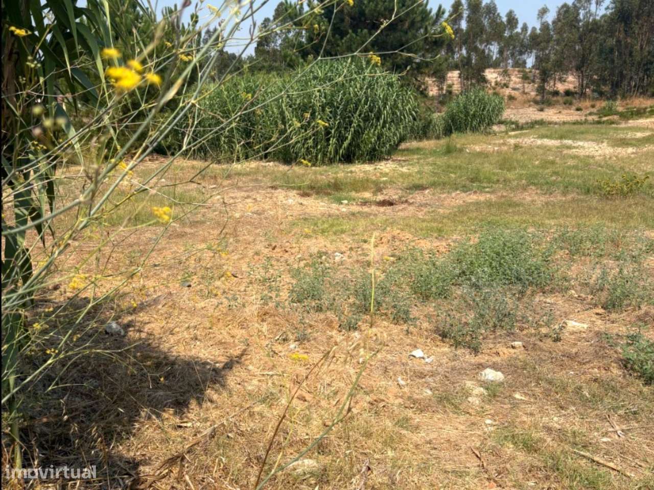 Lote Industrial 30.000 m² | Palmela | Construção 11.900 m².-13