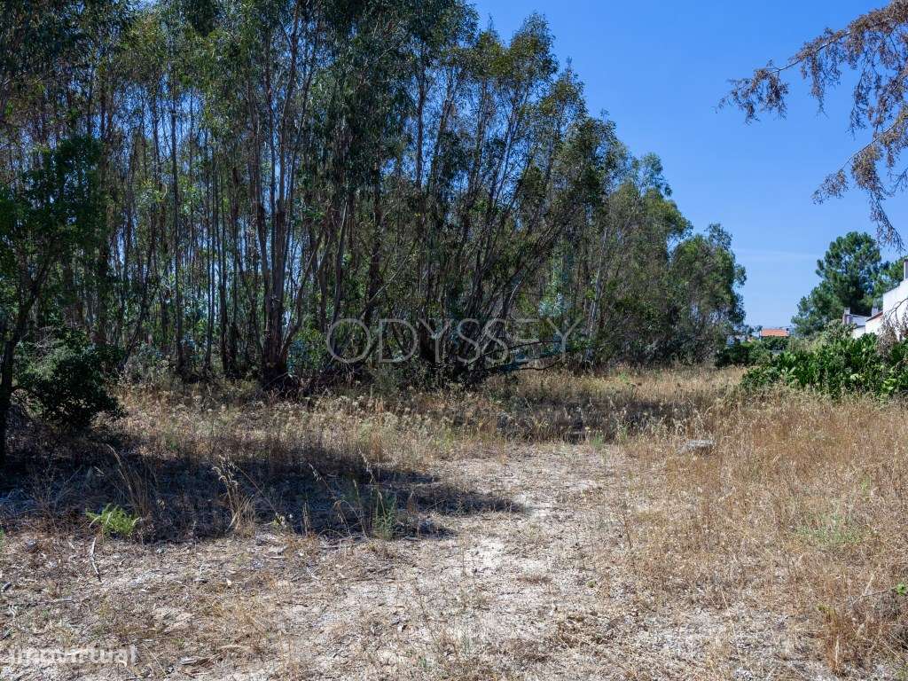 Terreno Venda Palmela-3