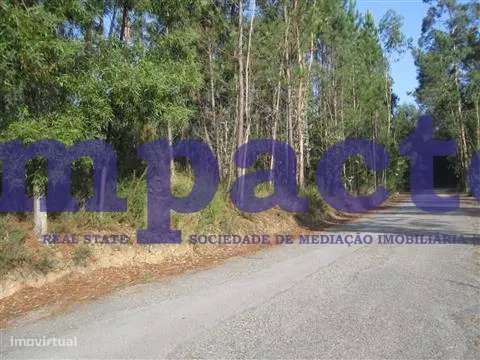 Terreno em Pigeiros, Santa Maria da Feira - Grande imagem: 4/8