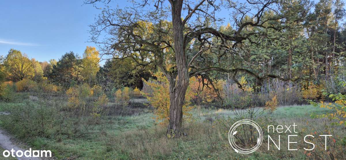 Wawer - Aleksandrów I 80,9m2 I segment z ogródkiem-3