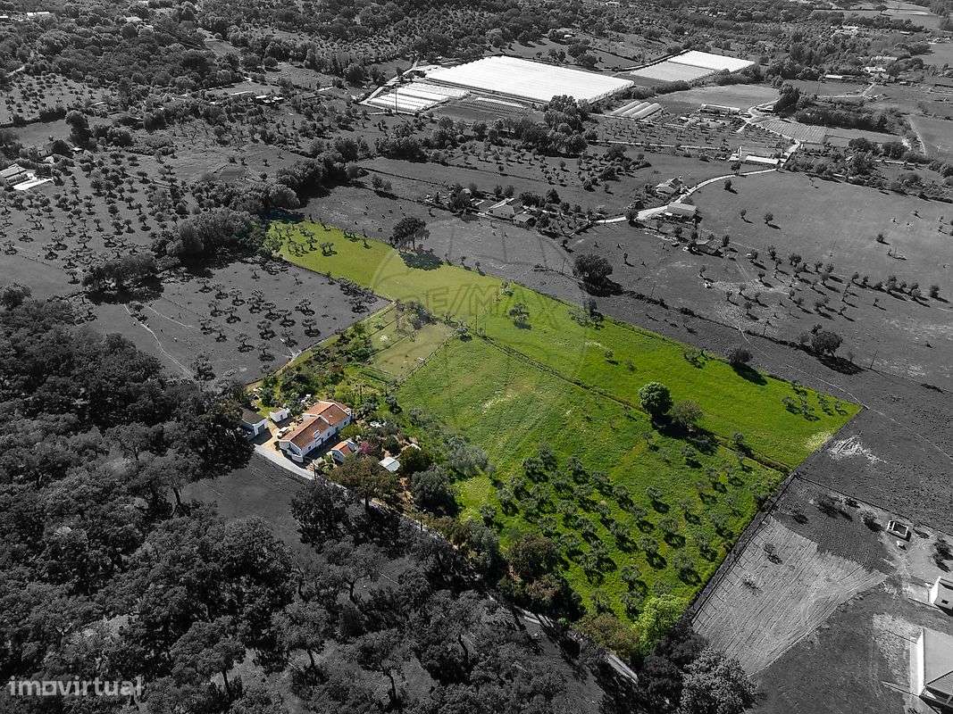 Quinta T6 para venda-11