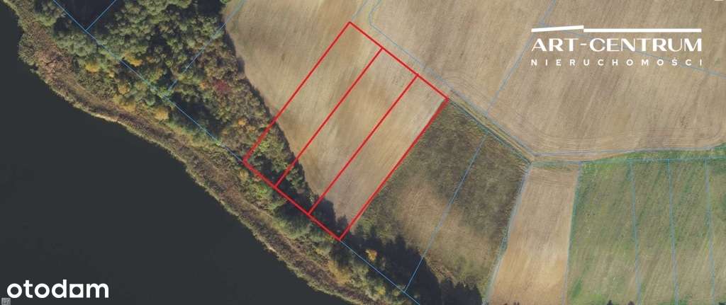 Działki z linią brzegową pod Bydgoszczą - 3300m2 - Pełny obrazek: 5/7