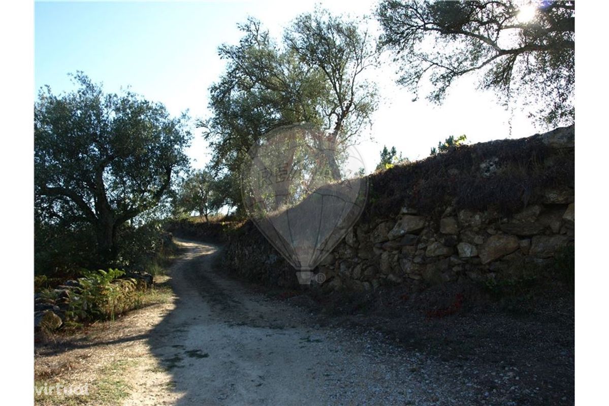 TERRENO P/CONSTRUÇÃO -  FERREIRIM SERNANCELHE