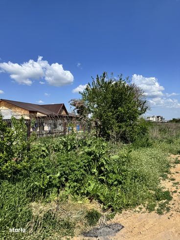 De Vânzare Teren in Periș, Ilfov-7