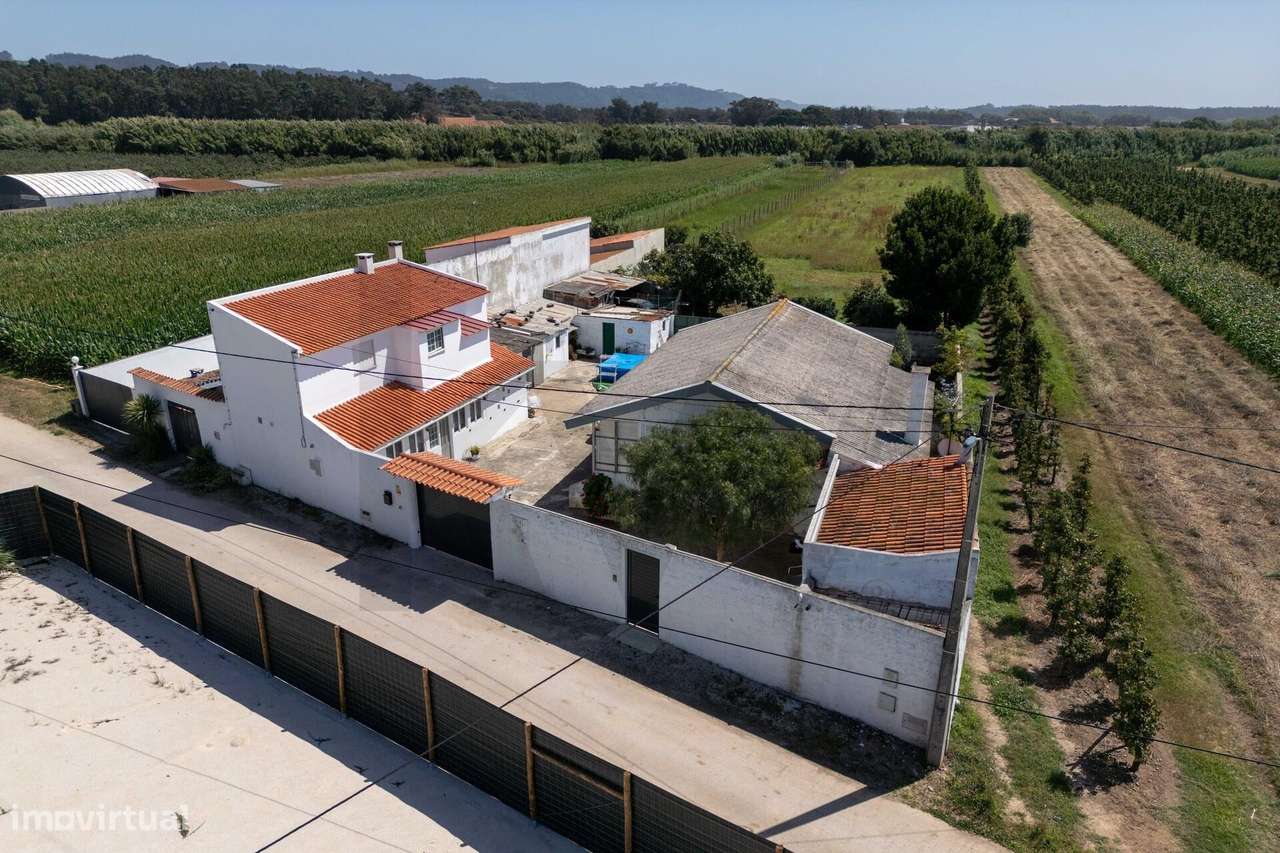 Moradia T4 + T2 - Quinta com 4.400 m2 - São Martinho do Porto - Grande imagem: 4/60