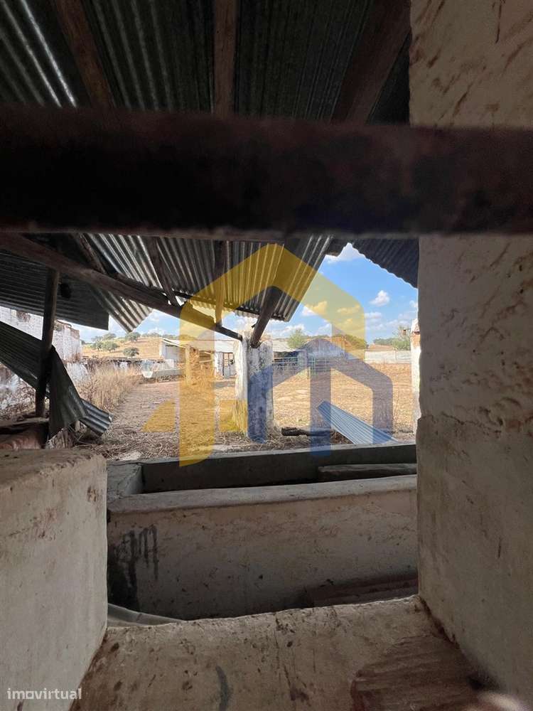 🏡 Quintinha em Monforte-14