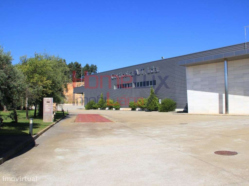 Corticeira para venda em Gavião, Portalegre - Grande imagem: 5/60