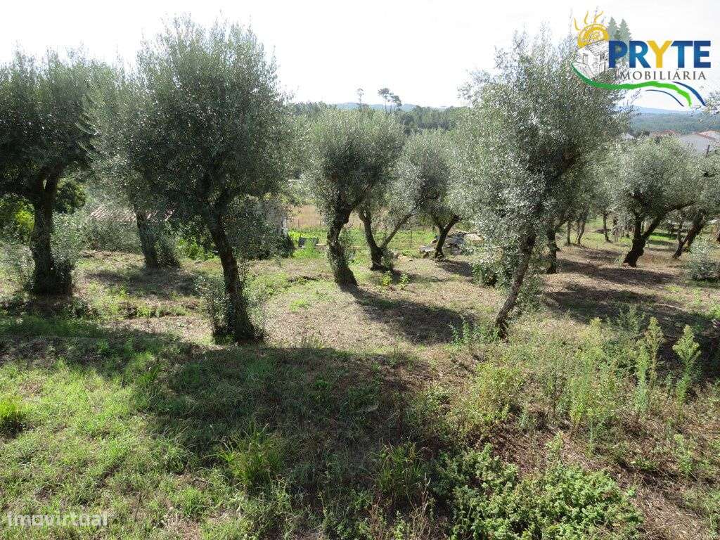 Moradia T3 situada em Outeiro da Lagoa, a apenas 5 minutos da Sertã-13