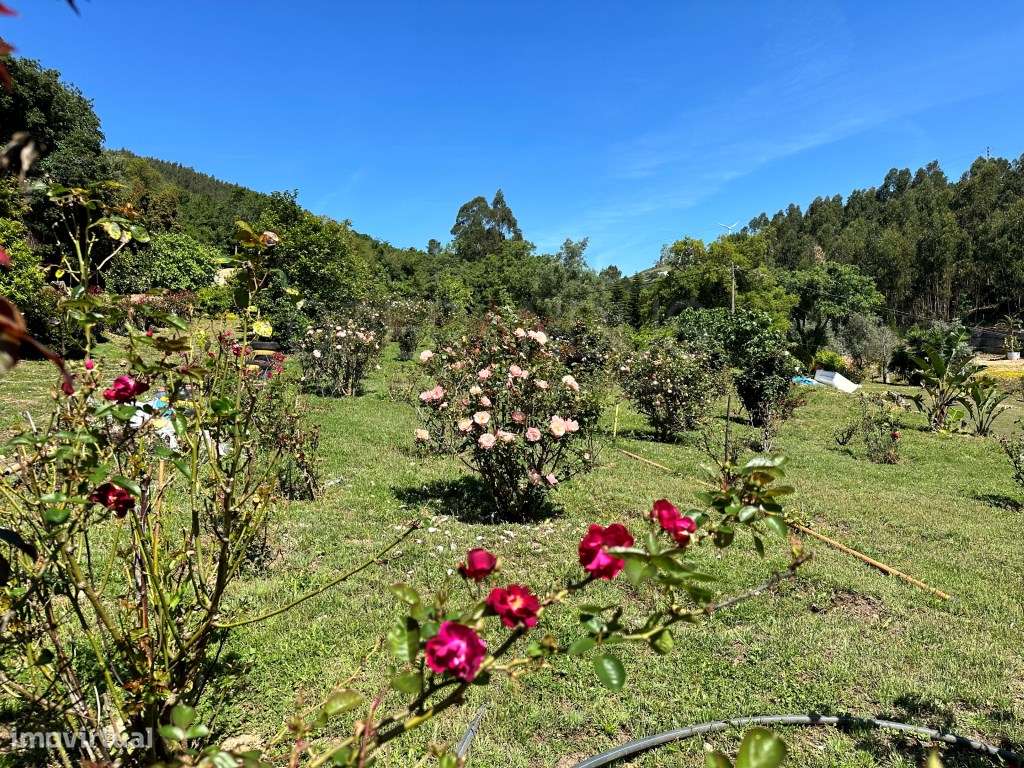 Quinta - Quintinha - Moradia-28