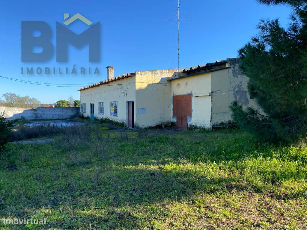 Estabelecimento Comercial perto de Castelo Branco - Grande imagem: 3/60