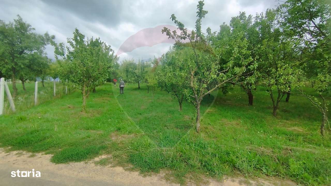 TEREN INTRAVILAN 2900 mp ȘIMLEU SILVANIEI/ Str. Corneliu Coposu/Sălaj - Imagine principală: 1/12