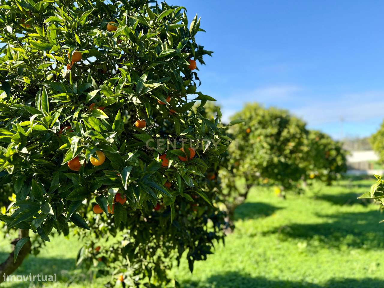 O seu refúgio de sonho no coração do Algarve, a poucos minutos da Prai-41