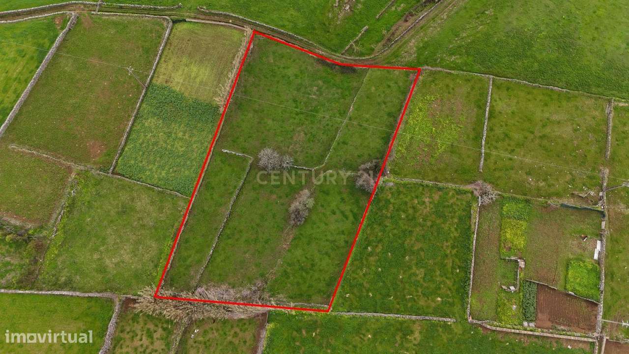 Terreno rústico na freguesia da Ribeirinha - Grande imagem: 2/4
