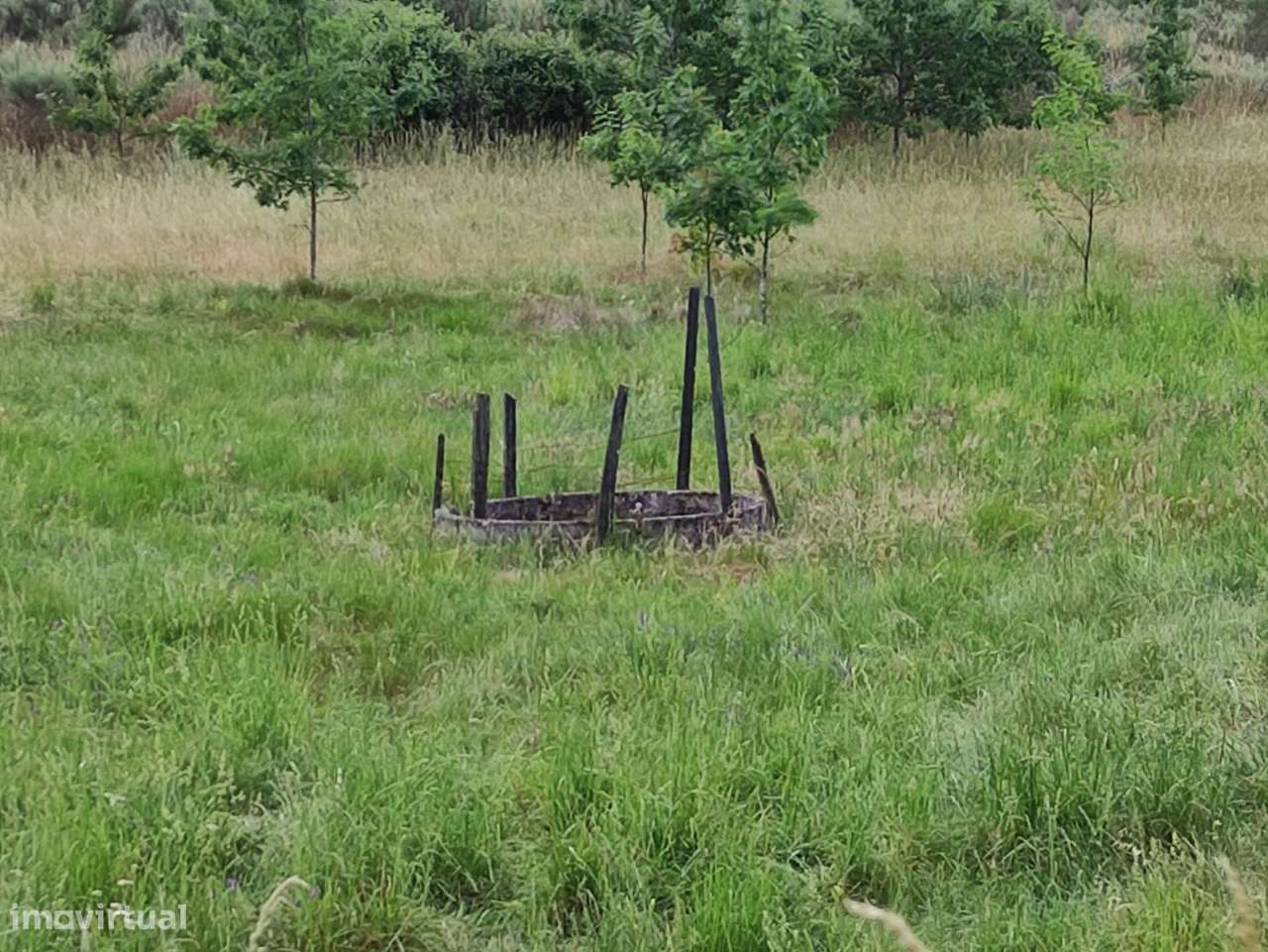 Quinta  Venda em Melo e Nabais,Gouveia - Grande imagem: 4/15