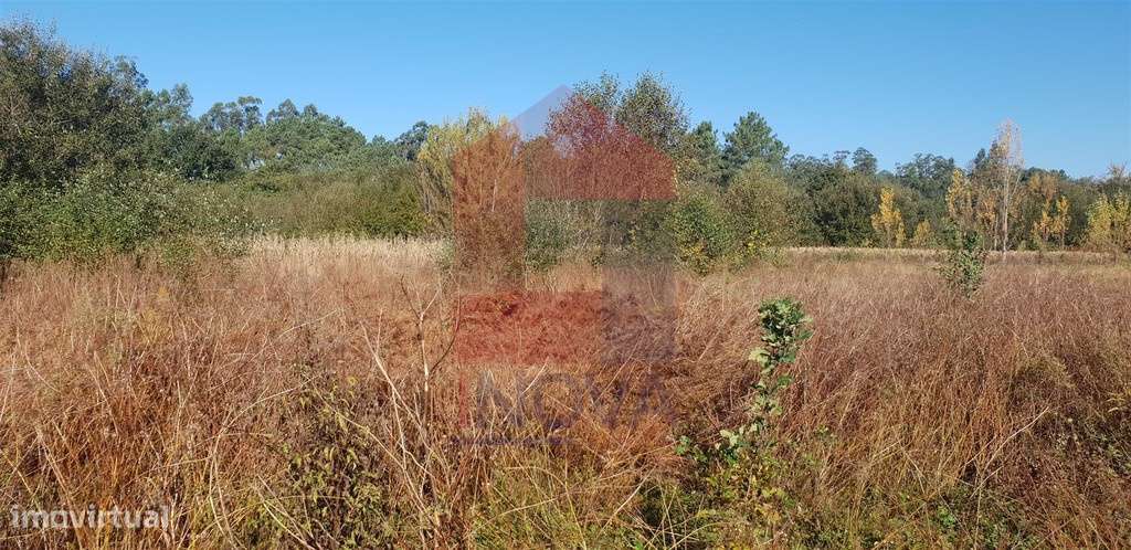 Terreno agrícola em Freiriz, Vila Verde - Grande imagem: 5/7