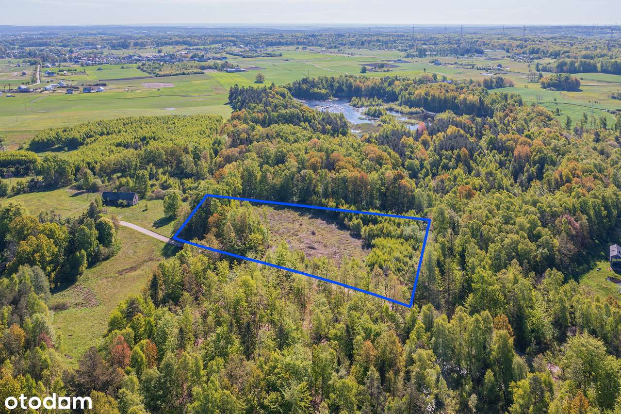 Działka, 11 811 m², Skrzeszewo - Pełny obrazek: 4/15