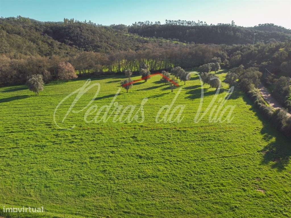 Monte Alentejano de 36ha com 3 ruinas - Pego das Pias - Odemira-2