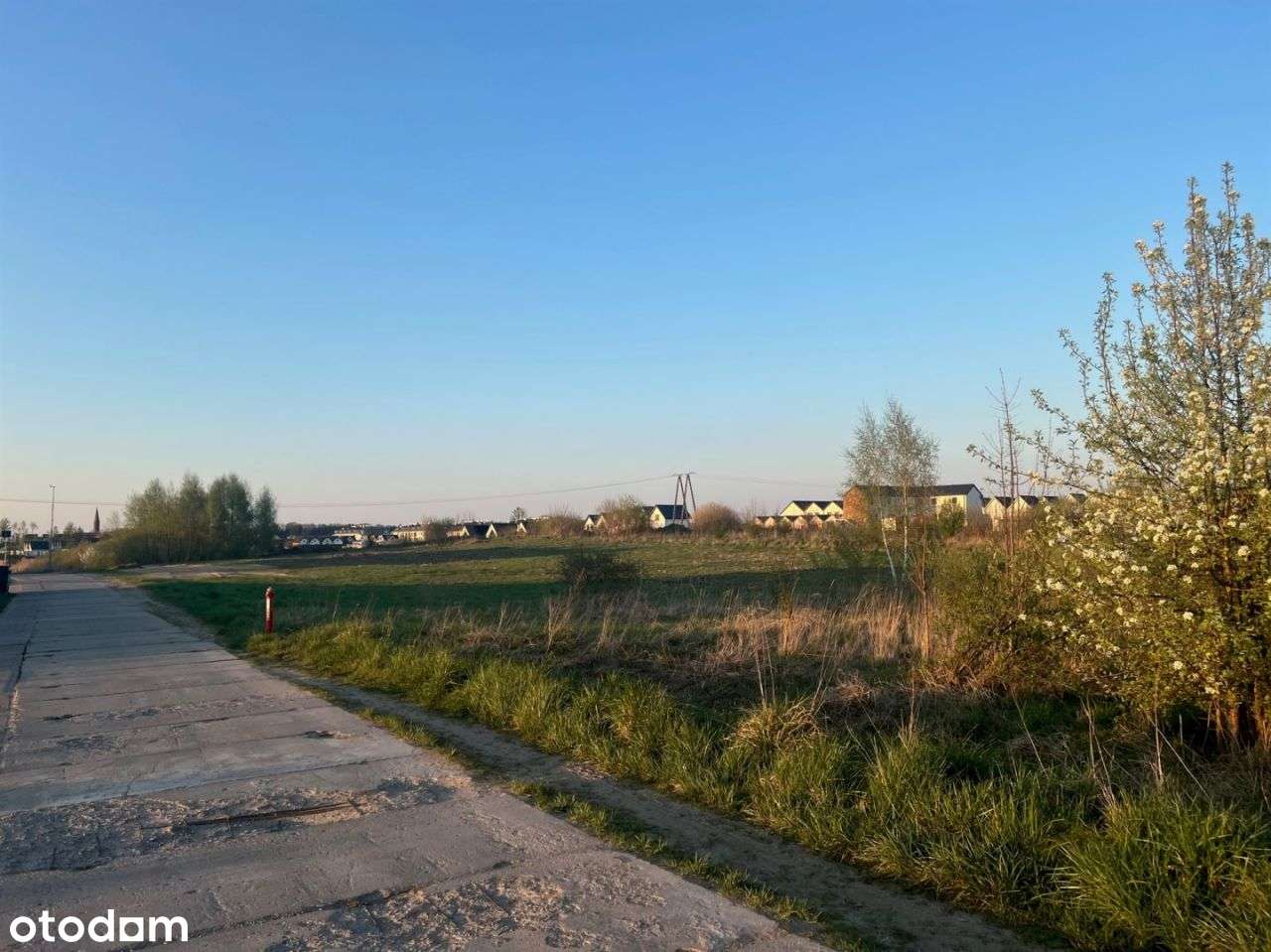 Działka w nadmorskim Sarbinowie - Pełny obrazek: 5/5