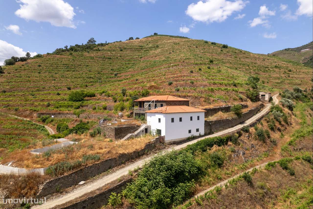 QUINTA VINÍCOLA EXCLUSIVA NO DOURO COM CASA DE LUXO - Grande imagem: 2/27