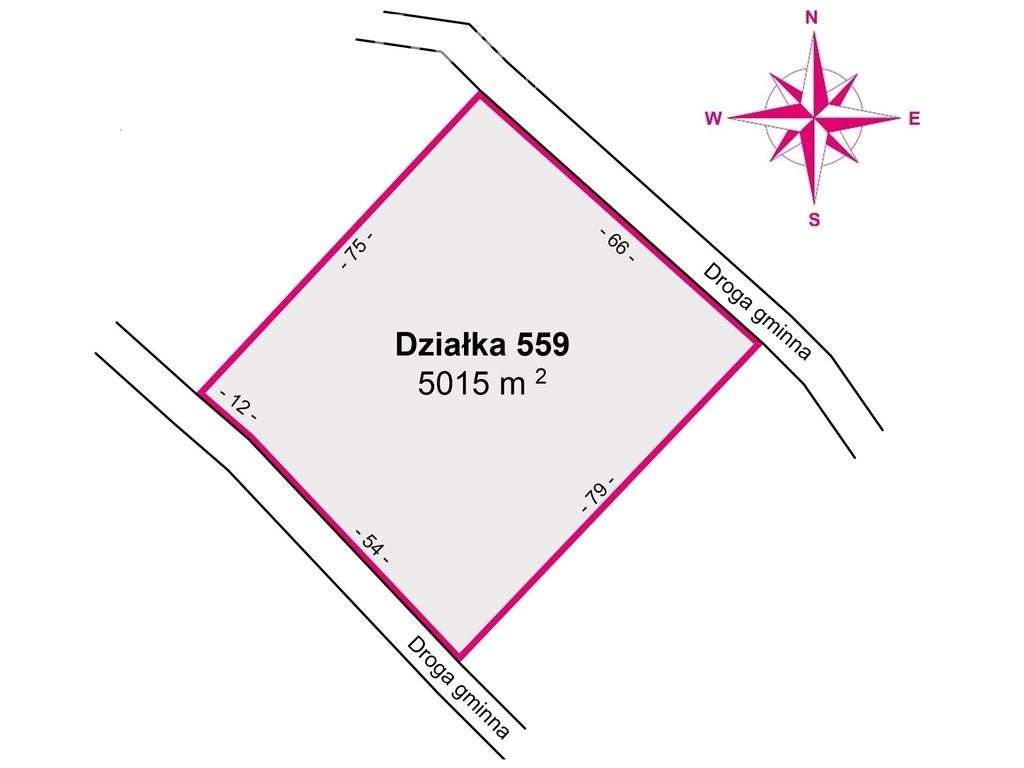 Działka rolno-rekreacyjna 50ar–Końskie, gm. Dydnia - Pełny obrazek: 4/11