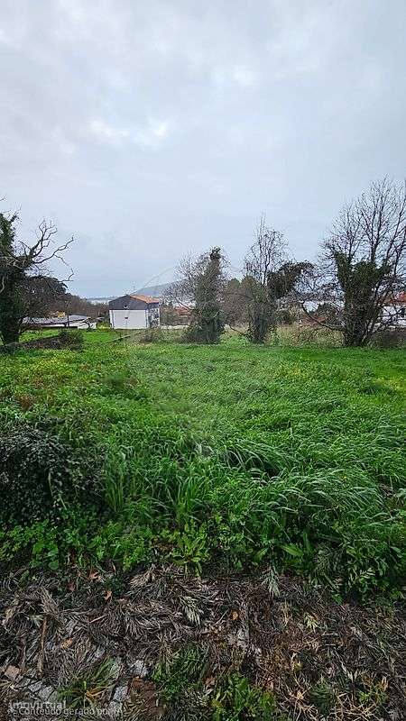 Terreno  para venda-3