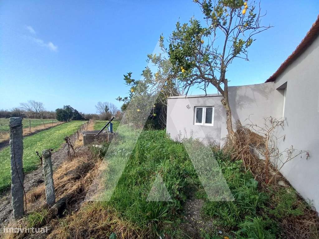 Lote de terreno com duas moradias em Vilarinho - Cacia, junto aos P... - Grande imagem: 2/17